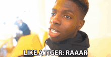 Like A Tiger Raaar GIF - Like A Tiger Raaar Emmanuel Balogun GIFs