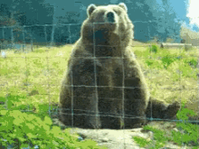 Cutest Bear Waving Bye GIF - Bear Animals Bye GIFs