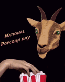 Popcorn Eating GIF - Popcorn Eating Deer GIFs