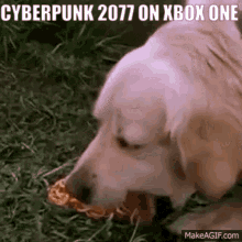 Cyberpunk2077 Xbox GIF - Cyberpunk2077 Cyberpunk Xbox GIFs