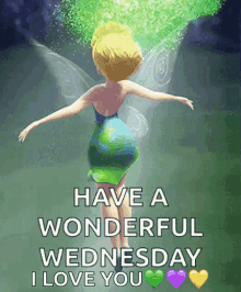 tinkerbellsparkling wings have a wonderful wednesday happy
