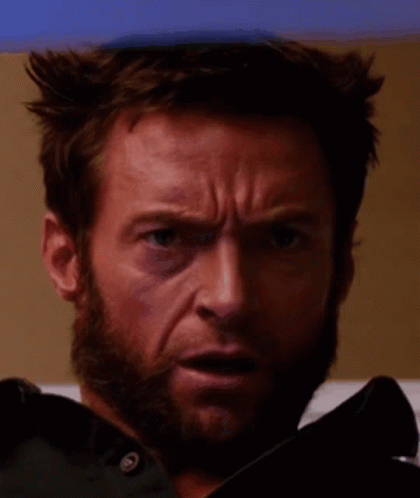 Wolverine Shocked GIF - Wolverine Shocked Wolverine GIFs