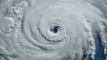 Hurricane Seagrass And The Ecosystem GIF - Hurricane Seagrass And The Ecosystem Eye Of The Storm GIFs