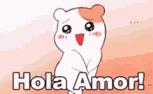 Hola Amor Hamster GIF - Hola Amor Hamster Cute GIFs