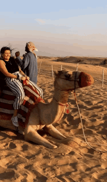 Desert Dubai GIF - Desert Dubai Camel GIFs