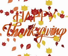 Happy Thanksgiving Turkey GIF - Happy Thanksgiving Thanksgiving Turkey GIFs