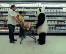 Panda Commercial Grovery GIF - Panda Commercial Grovery Mad GIFs