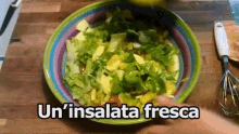 Insalata Lattuga Dieta Mangiare Piatto Estivo GIF - Salad Lettuce Diet GIFs