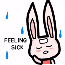 animal bunny rabbit cute sick animal bunny rabbit cute sick