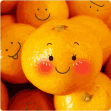 orange wink