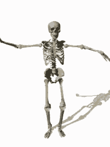 Tengkorak Balet GIF - Skeleton Skull Dance GIFs
