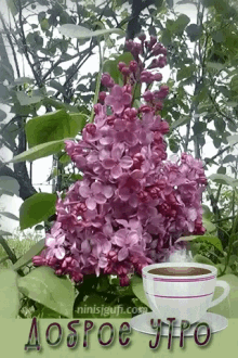 Goodmorning Lilac GIF - Goodmorning Lilac Spring GIFs