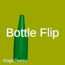 beer bottle bottle flip bottle spin drink
