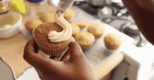Cupcakes National Cupcake Day GIF - Cupcakes National Cupcake Day Cupcake GIFs