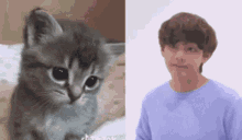 Sunakook Taehyung GIF - Sunakook Taehyung Cat GIFs