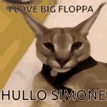 Simone Floppa GIF - Simone Floppa Moss GIFs
