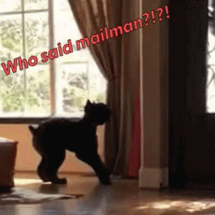 message mailman gif