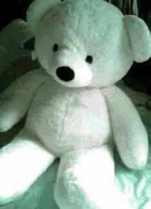 Stuffed Animal Teddy Bear GIF - Stuffed Animal Teddy Bear Bow GIFs