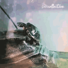 Fall Out Of Balance GIF - Fall Out Of Balance No I Cant GIFs