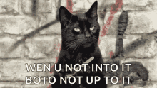 Salem Cat GIF - Salem Cat Nails GIFs