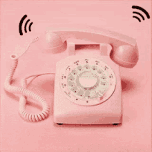 ring telephone calling pink phone