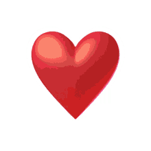 heart beat red heart hearts love ily