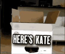 heres kate vt kbilz heres kate vt kbilz