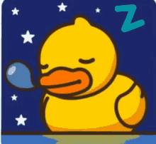 duck sleep