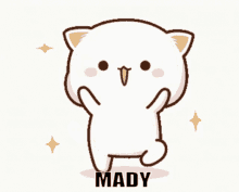 mady cat danse