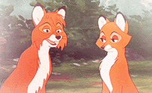 Fox And GIF - Fox And Hound GIFs