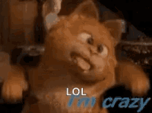 Garfield Crazy GIF - Garfield Crazy Cat GIFs