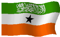 Somaliland Flag Sticker - Somaliland Flag Congratulations Stickers