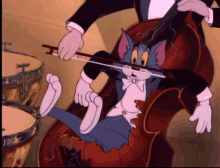 Tom Violin GIF - Tom Violin Tom And Jerry GIFs
