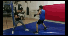 box boxing boxers training train