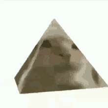 Cat Pyramid Cat GIF - Cat Pyramid Cat Spin GIFs