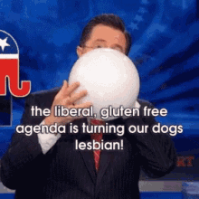 colbert liberal gluten free agenda turn dogs lesbian colbert liberal gluten free agenda turn dogs lesbian