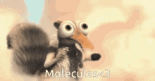 squirrel molecules