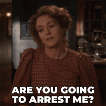 Are You Going To Arrest Me Julia Ogden GIF - Are You Going To Arrest Me Julia Ogden Murdoch Mysteries GIFs