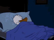 donald duck donald duck