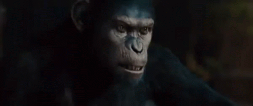 planet-of-the-apes-no.gif