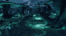Tree Of Souls Healing GIF - Tree Of Souls Healing Connect GIFs