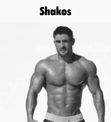 Shakos Shakos Overwatch GIF - Shakos Shakos Overwatch Gods Of GIFs