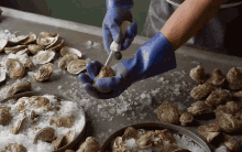 An Oyster'S Journey Verizon GIF - Oyster Kerang Shucking GIFs