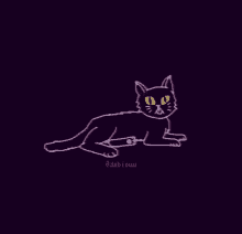 Dabiouu Cat GIF - Dabiouu Cat GIFs