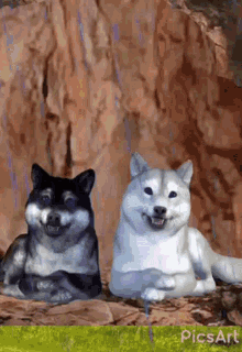 This Is For Bat Wolf GIF - This Is For Bat Wolf Safe And Sound GIFs