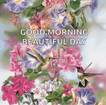 Good Morning Humming Birds GIF - Good Morning Humming Birds Flowers GIFs
