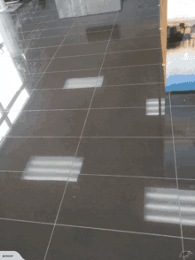 Wellington Tiler Wellington Flooring GIF - Wellington Tiler Wellington Flooring GIFs