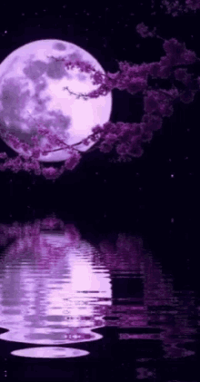 purple moon water
