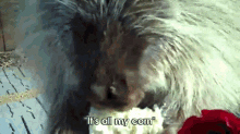Teddy Bear, The Porcupine, Loves Valentine'S Day Treats (With Subtitles) GIF - Porcupine Valentine Roses GIFs