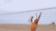 Volleyball GIF - Volleyball GIFs
